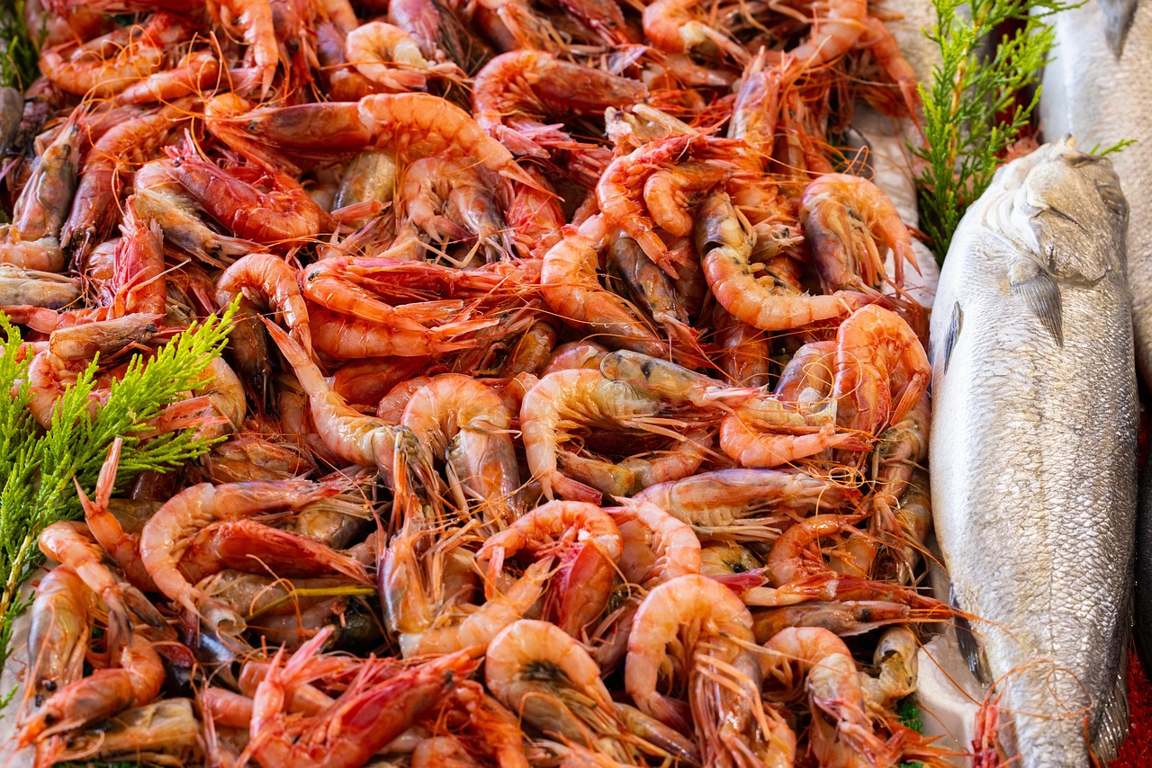 about-02 shrimps, prawns, seafood, fresh shrimps, fresh seafood, market, wet market, prawns, prawns, prawns, seafood, market, wet market, wet market, wet market, wet market, wet market